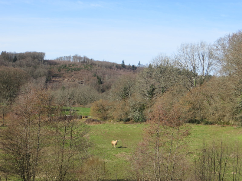 French property for sale in Saint-Moreil, Creuse - photo 3