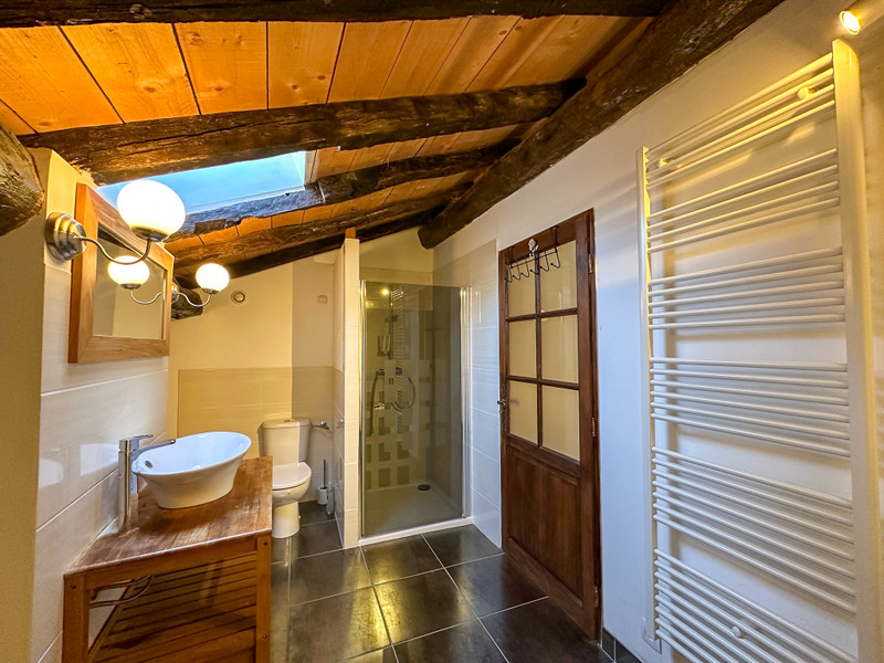 French property for sale in Nérac, Lot-et-Garonne - €389,000 - photo 12
