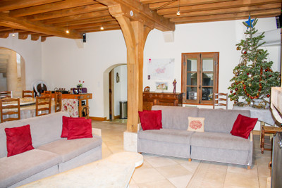 Magnificent 7 bedroom house and its wooden chalet 60m². Near Blois.