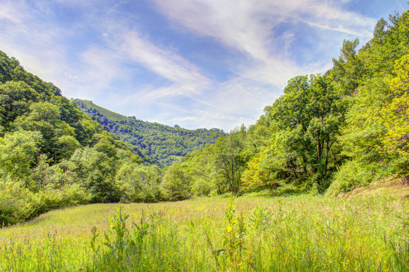 French property for sale in Tardets-Sorholus, Pyrénées-Atlantiques - €335,000 - photo 9