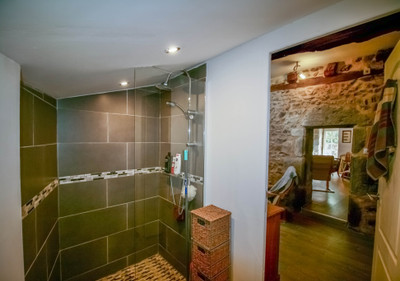 French property for sale in Bussière-Badil, Dordogne - €51,300 - photo 6