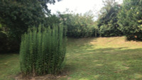 Maison à vendre à Tombebœuf, Lot-et-Garonne - 257.500 € - photo 14