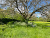 French property for sale in Saint-Front-la-Rivière, Dordogne - €119,900 - thumbnail 9