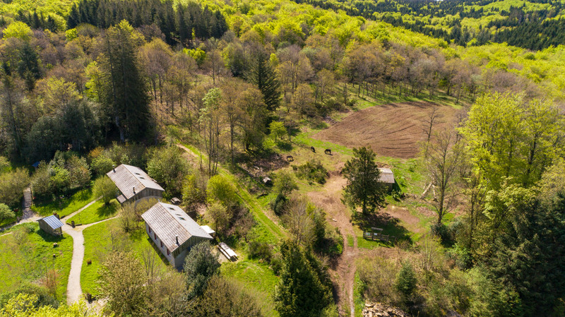 Propriété à vendre à Le Soulié, Hérault - 840 000 €