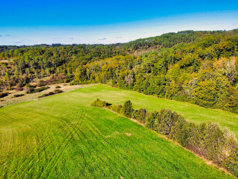 French property for sale in Saint-Paul-de-Serre, Dordogne - €77,390 - photo 9