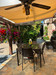 French property for sale in Yvignac-la-Tour, Côtes-d'Armor - €349,800 - thumbnail 14