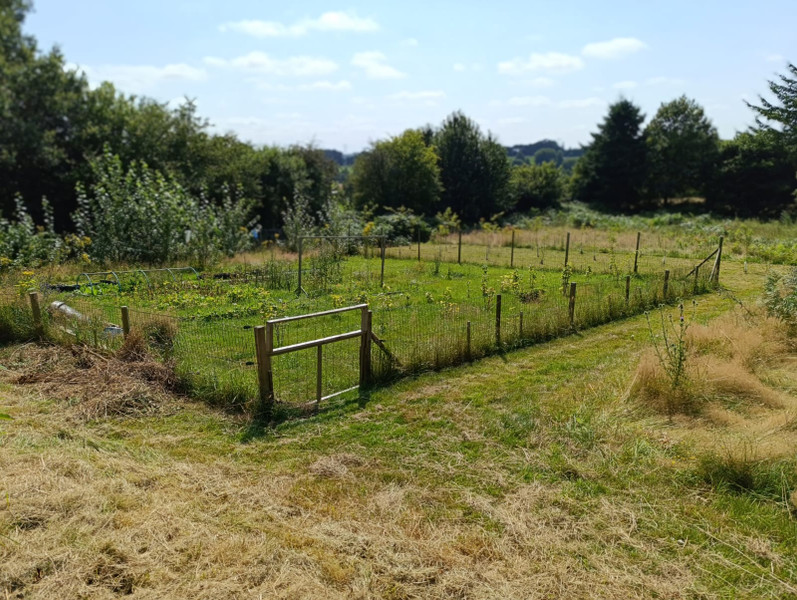 French property for sale in Saint-Denis-de-Gastines, Mayenne - €58,000 - photo 5