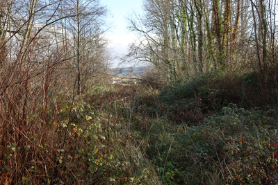 French property for sale in Thonac, Dordogne - €75,210 - photo 11