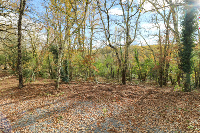French property for sale in Saint-Hippolyte-du-Fort, Gard - €599,000 - photo 9