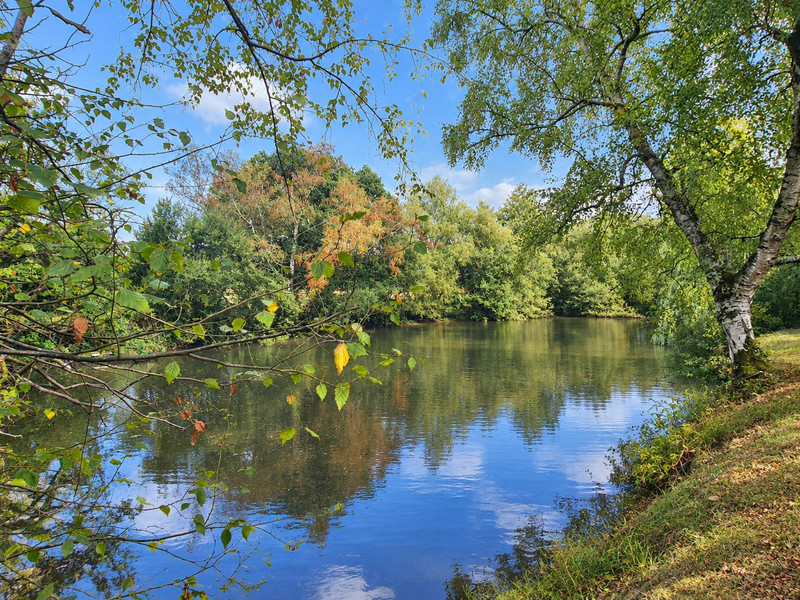 French property for sale in Lassay-les-Châteaux, Mayenne - €435,000 - photo 2