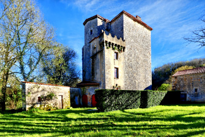 chateau for sale in Charente