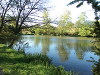 Lacs à vendre à Montaudin, Mayenne - 519 400 € - photo 9