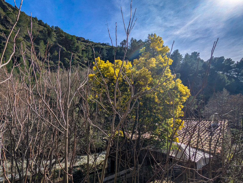 French property for sale in Lastours, Aude - €37,000 - photo 1