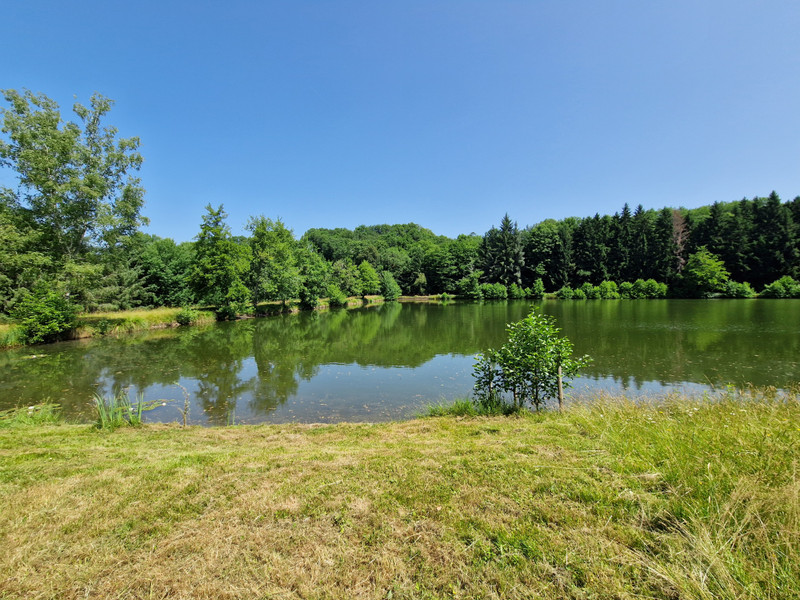 French property for sale in Verneuil-sur-Vienne, Haute-Vienne - €152,600 - photo 13