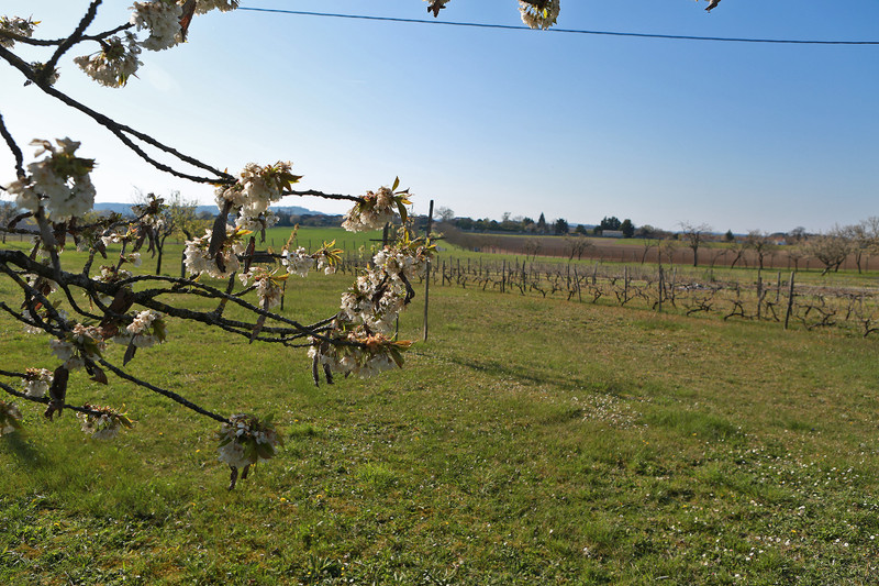 French property for sale in Gout-Rossignol, Dordogne - &#8364;178,200 - photo 9