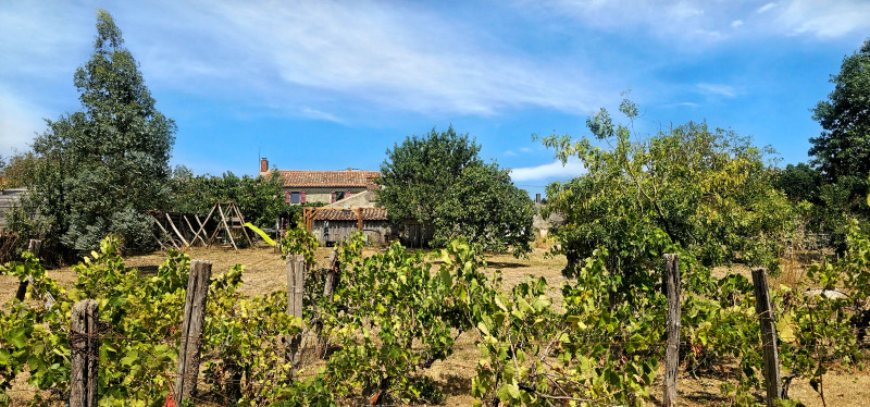 French property for sale in Maillezais, Vendée - €249,900 - photo 2