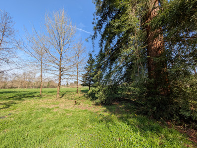 French property for sale in Puch-d'Agenais, Lot-et-Garonne - €245,000 - photo 3