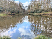 Lacs à vendre à Royères, Haute-Vienne - 41.600 € - photo 8
