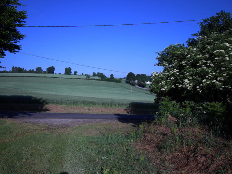 French property for sale in Landeleau, Finistère - €15,000 - photo 2