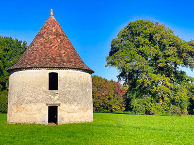 French property for sale in Douchapt, Dordogne - €950,000 - photo 4