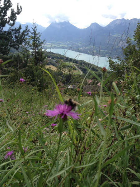 French property for sale in Annecy, Haute-Savoie - €499,000 - photo 6