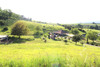 French property for sale in Saint-Léon-sur-l'Isle, Dordogne - €314,000 - thumbnail 9