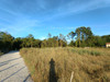 French property for sale in Sarlat-la-Canéda, Dordogne - €65,000 - thumbnail 2