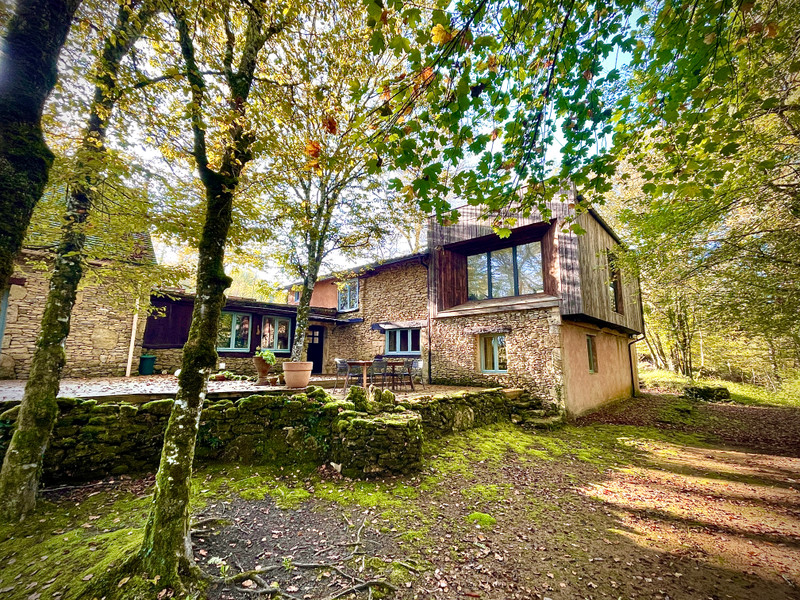 French property for sale in Saint-Léon-sur-Vézère, Dordogne - €399,000 - photo 3