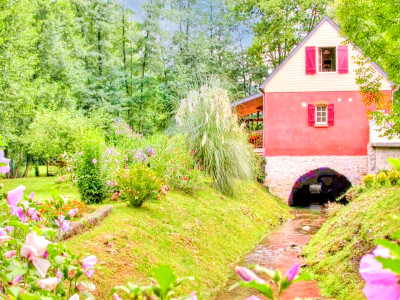 mill for sale in Pyrénées-Atlantiques