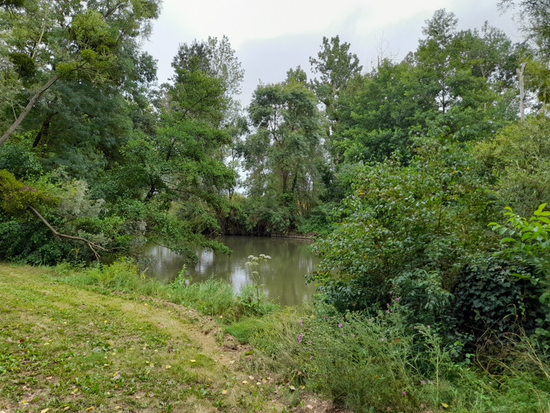French property for sale in Martizay, Indre - €267,500 - photo 9