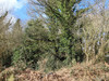 French property for sale in Maël-Pestivien, Côtes-d'Armor - €21,000 - thumbnail 9