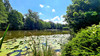 French property for sale in Ceaucé, Orne - €250,000 - thumbnail 14