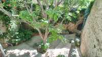 Propriété à vendre à Roujan, Hérault - 279 500 € - photo n°10