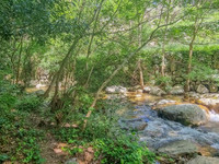 Maison à vendre à Colombières-sur-Orb, Hérault - 345.000 € - photo 6