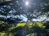 Maison à Lizio, Morbihan - photo 5