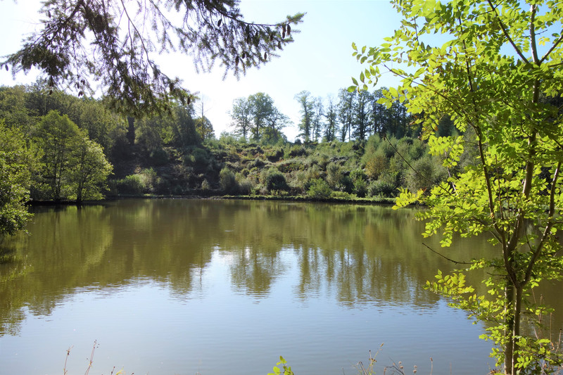 Lacs à vendre à Lignières-Orgères, Mayenne - 247 315 € - photo 1 Lacs à vendre à Lignières-Orgères, Mayenne - 247 315 € - photo 1