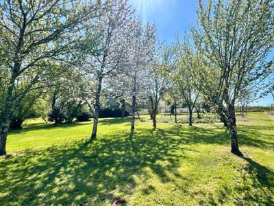 French property for sale in Mareuil, Charente - €360,400 - photo 1