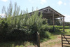 French property for sale in Saint-Caradec-Trégomel, Morbihan - €235,400 - thumbnail 9
