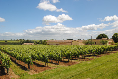 ORGANIC Vineyard of 26 hectares under Bordeaux AOC  Organic - very well maintained - 2 charming stone houses!