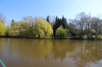 Lacs à vendre à Nuillé-sur-Vicoin, Mayenne - 246 100 € - photo 3