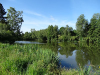 Lacs à vendre à Montaudin, Mayenne - 975.950 € - photo 8