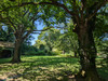 French property for sale in Courtomer, Orne - €580,000 - thumbnail 9