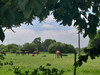 French property for sale in Châtelaudren-Plouagat, Côtes-d'Armor - €349,500 - thumbnail 9