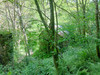 French property for sale in Espagnac, Corrèze - €48,750 - thumbnail 13