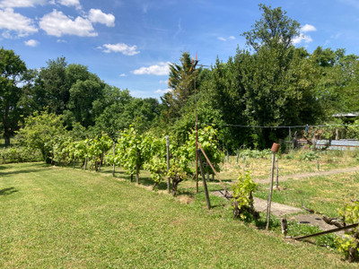 French property for sale in Saint-Martin-l'Ars, Vienne - €189,000 - photo 8