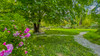French property for sale in Montferrand, Aude - €397,000 - thumbnail 9
