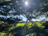 French property for sale in Lizio, Morbihan - €166,000 - thumbnail 9