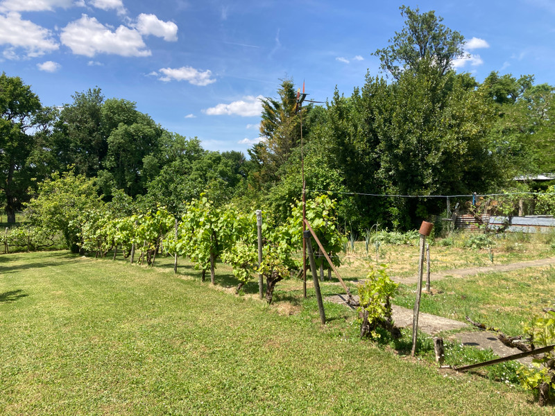 French property for sale in Saint-Martin-l'Ars, Vienne - €189,000 - photo 8