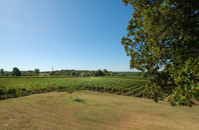 Charmante propriété viticole au milieu de 8 hectares - Coup de cœur assuré !