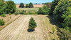 French property for sale in Val-de-Comporté, Vienne - €259,990 - thumbnail 14